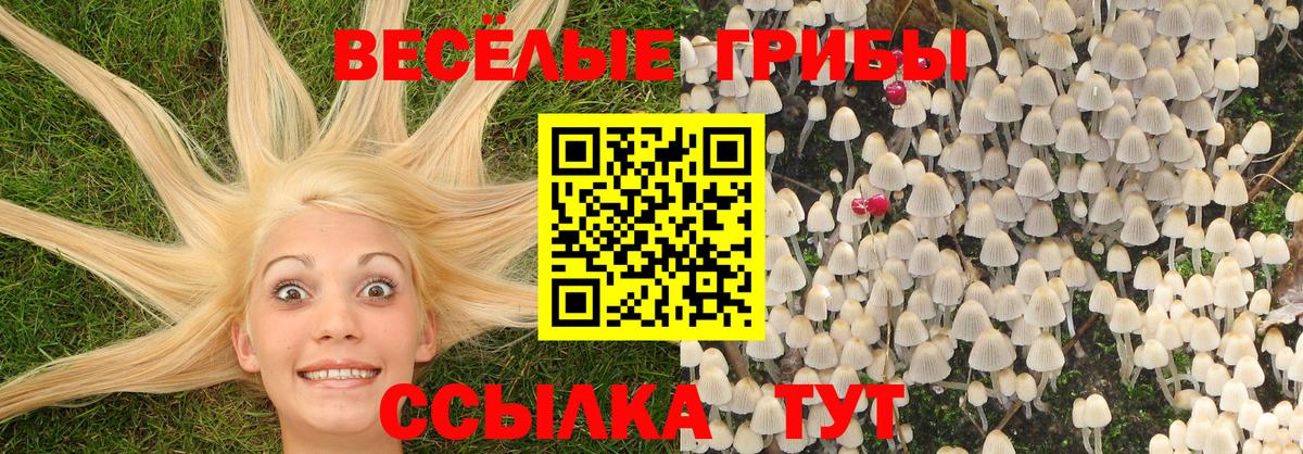 Галлюциногенные грибы прущие грибы Волжский