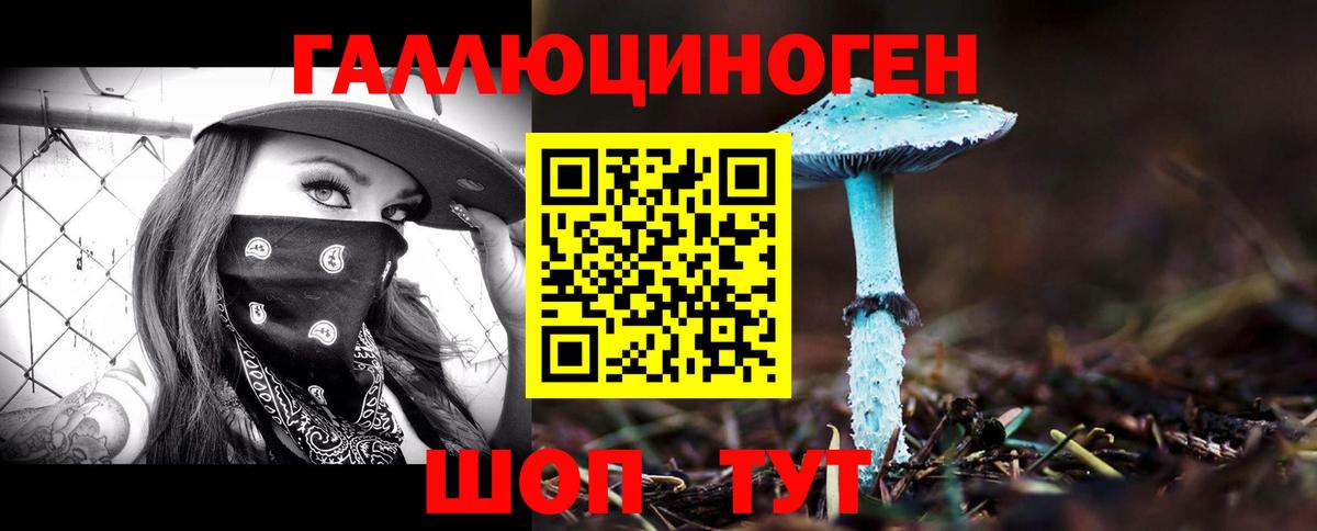 Псилоцибиновые грибы Psilocybe  Псилоцибиновые грибы MAGIC MUSHROOMS  Волжский  Вход с VPN 